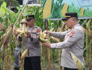 IMG-20260108-WA0020