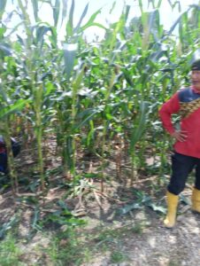 IMG-20260512-WA0012