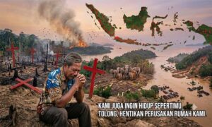 IMG-20260612-WA0004