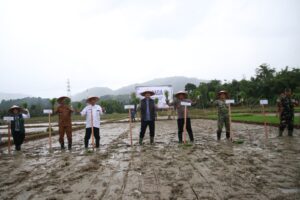 IMG-20260818-WA0033