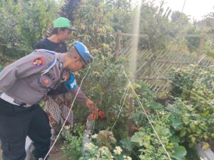 IMG-20260829-WA0001